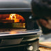 Gozney Dome Gen 2 Natural Gas Pizza Oven close view through the mouth with split logs burning on a stainless grate inside the glowing terracotta dome and a blurred person at the right.