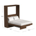 Modern Walnut Inovabed Murphy Bed with Desk opened with white bedding and dimension labels reading 85 inches high, 65 inches wide and 90.7 inches deep