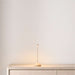 Sand Brown Crate & Barrel Pina Pro Metal Table Lamp by Zafferano America in a straight-on front view of the powdercoated aluminum body